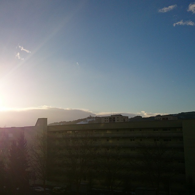 One sunny day in Linz!